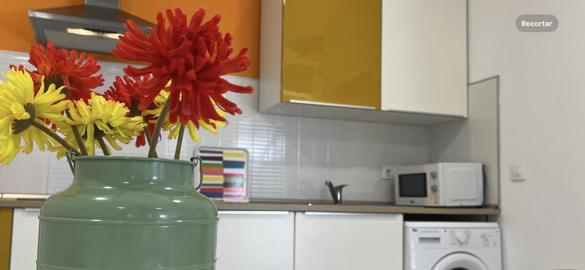 Ancla Real Apartamentos Loft El Puerto de Santa María Dış mekan fotoğraf