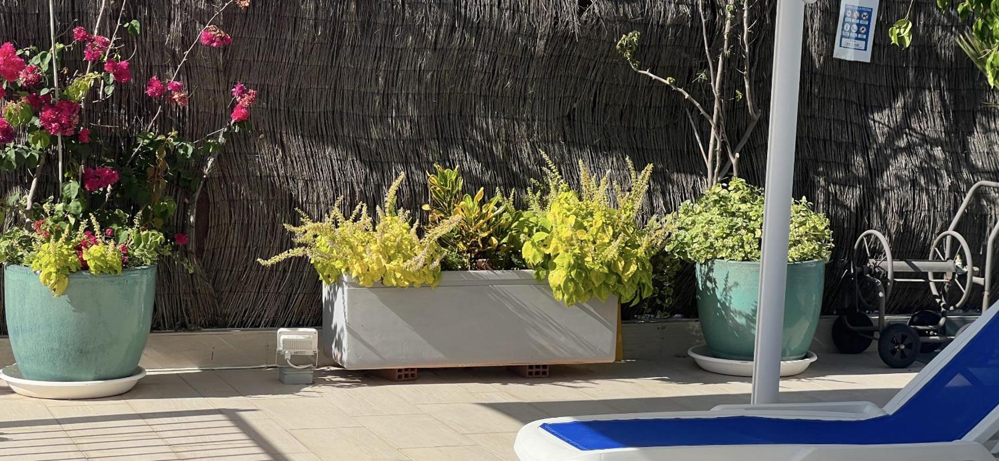 Ancla Real Apartamentos Loft El Puerto de Santa María Dış mekan fotoğraf
