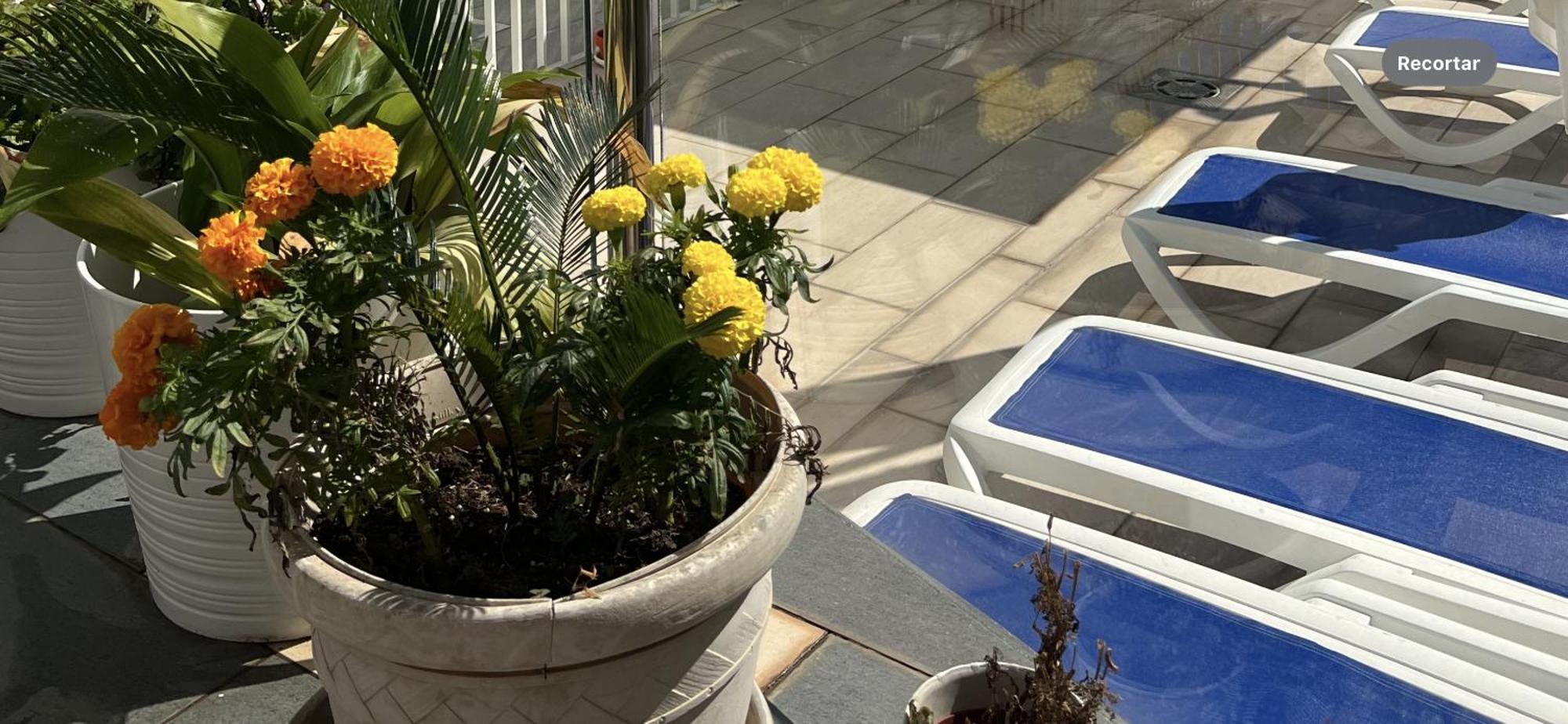 Ancla Real Apartamentos Loft El Puerto de Santa María Dış mekan fotoğraf
