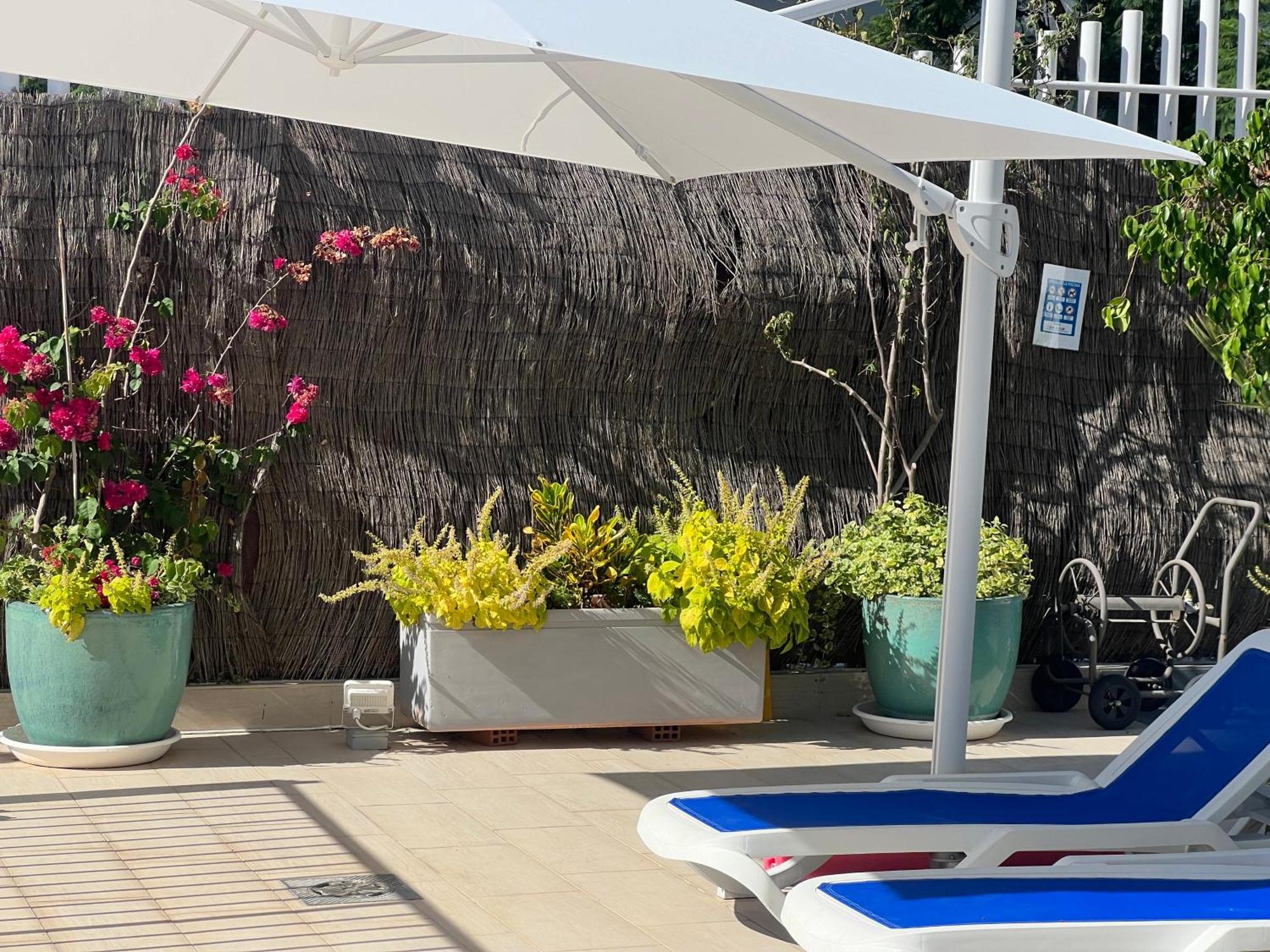 Ancla Real Apartamentos Loft El Puerto de Santa María Dış mekan fotoğraf