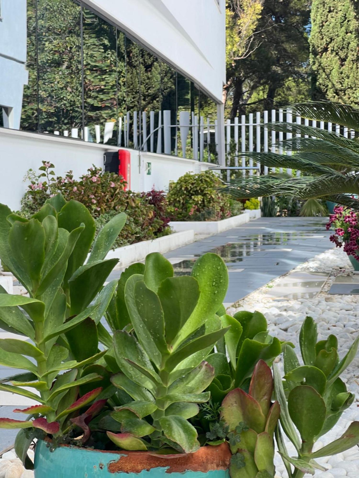 Ancla Real Apartamentos Loft El Puerto de Santa María Dış mekan fotoğraf
