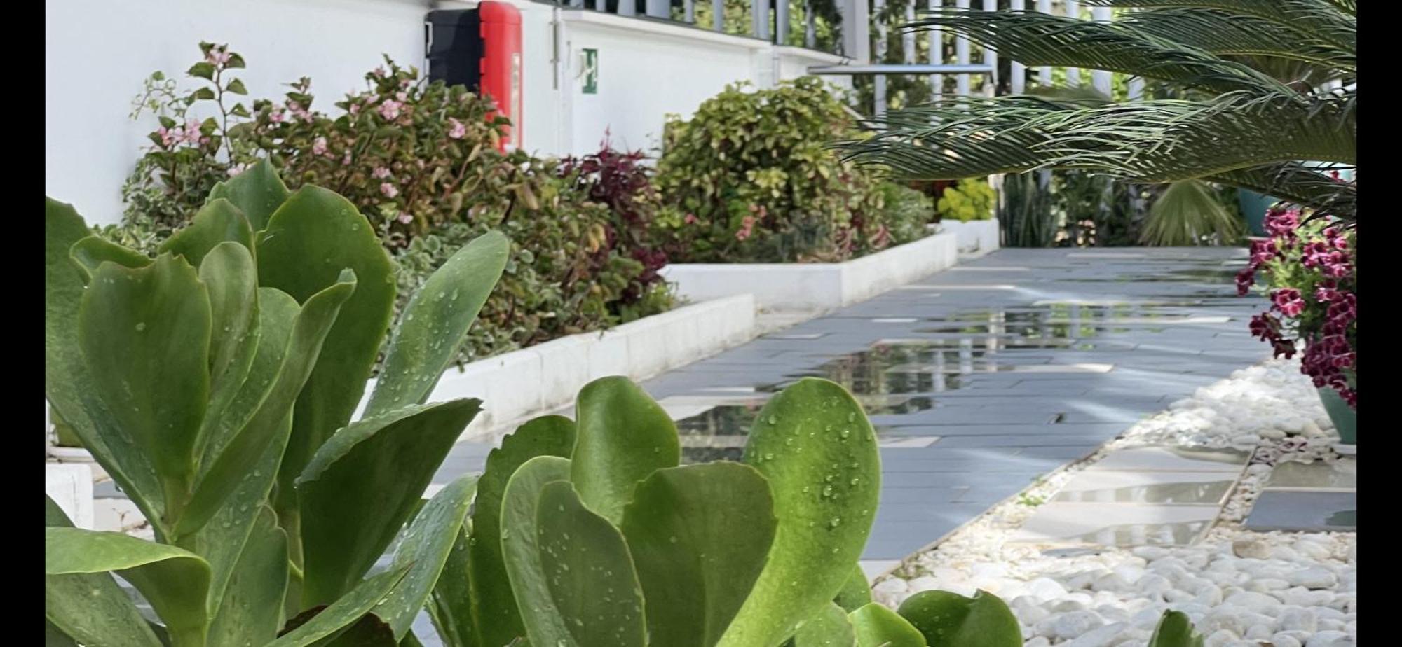 Ancla Real Apartamentos Loft El Puerto de Santa María Dış mekan fotoğraf