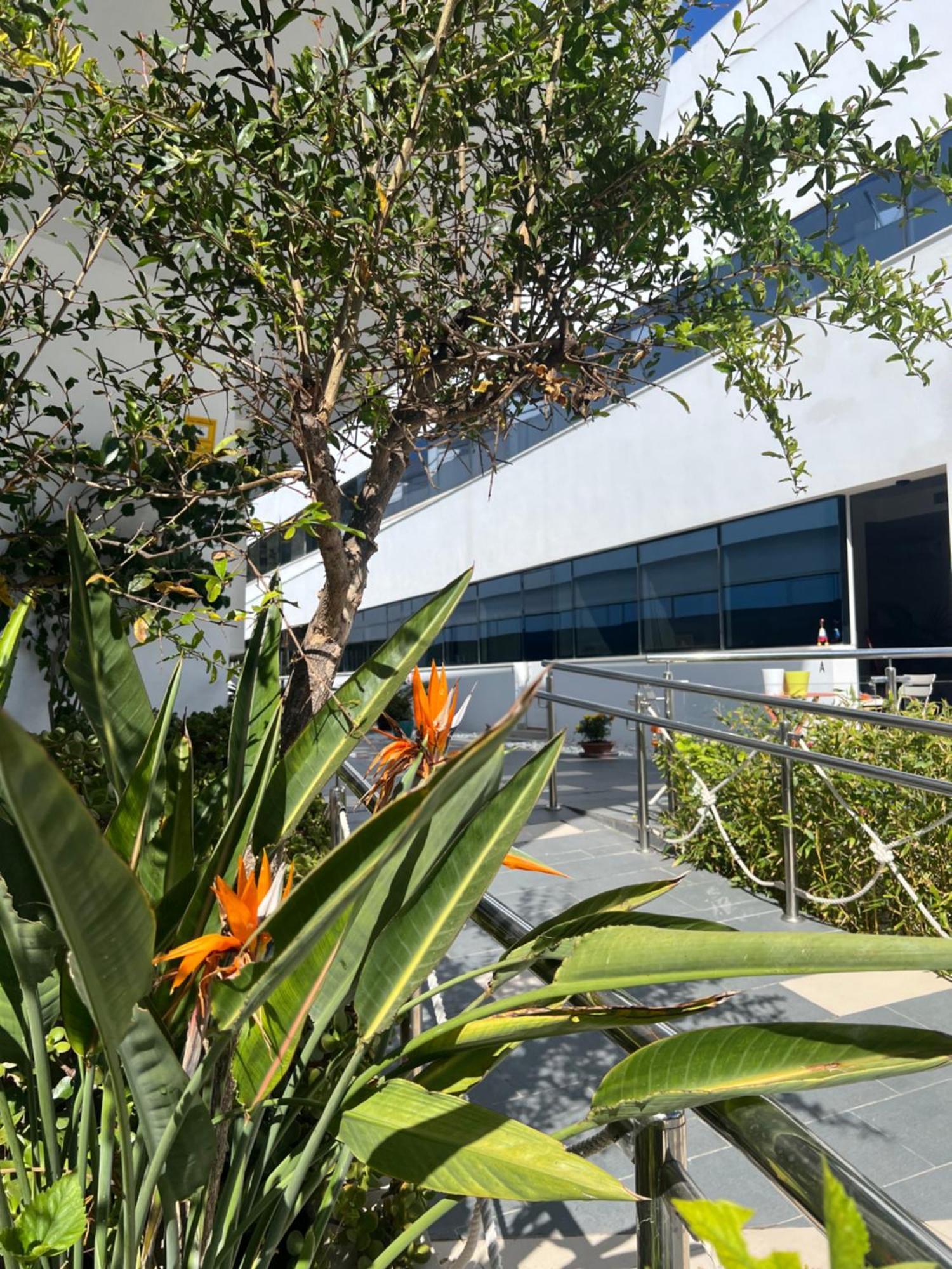 Ancla Real Apartamentos Loft El Puerto de Santa María Dış mekan fotoğraf