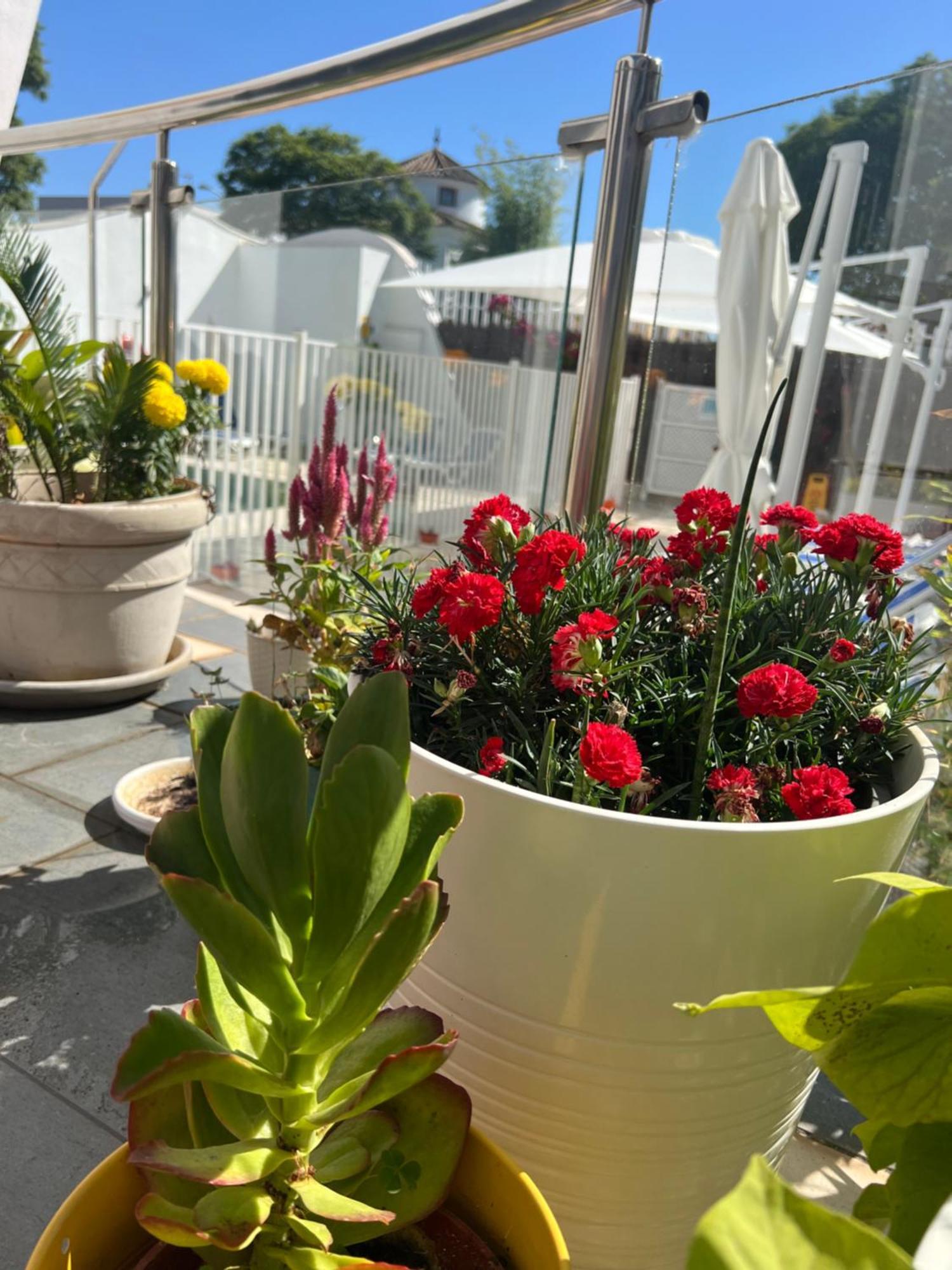 Ancla Real Apartamentos Loft El Puerto de Santa María Dış mekan fotoğraf