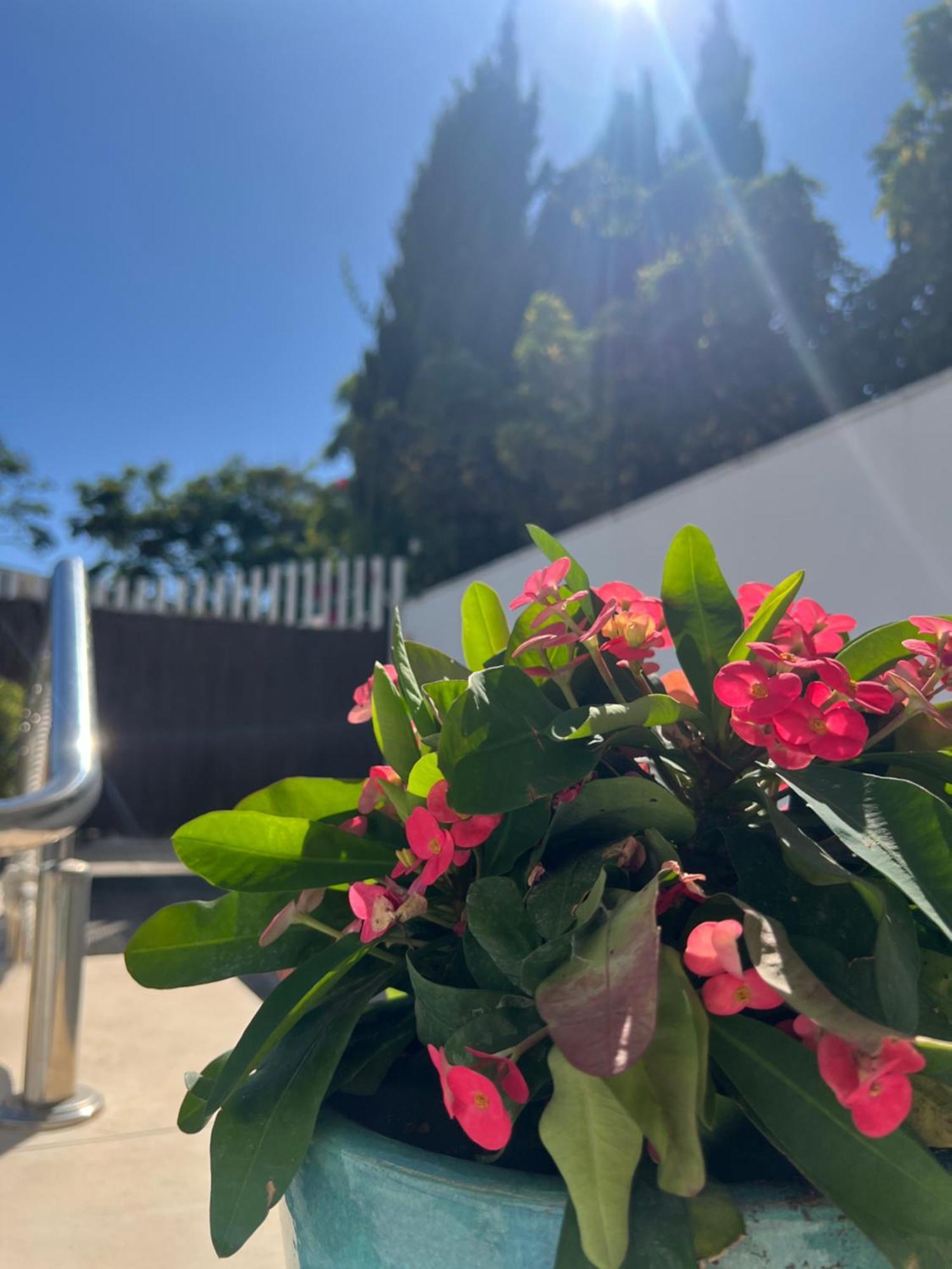 Ancla Real Apartamentos Loft El Puerto de Santa María Dış mekan fotoğraf